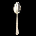 (SPN-11) 29 Grams spoon in silver