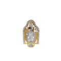 Shreenath ji (PD-150)